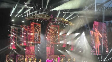 IMG_4308 sml © Paul Normandale